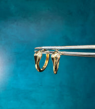 Load image into Gallery viewer, Snake Huggie Hoops