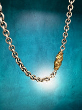 Load image into Gallery viewer, Alex Sepkus Seashell and Chain