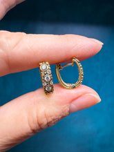 Load image into Gallery viewer, Alex Sepkus Oval Hoop Earrings
