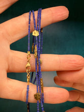 Load image into Gallery viewer, Alex Sepkus Flora Lapis Necklace
