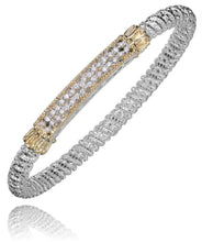 Load image into Gallery viewer, SOLD Vahan 23456D04
