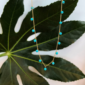 Dangle Turquoise Necklace